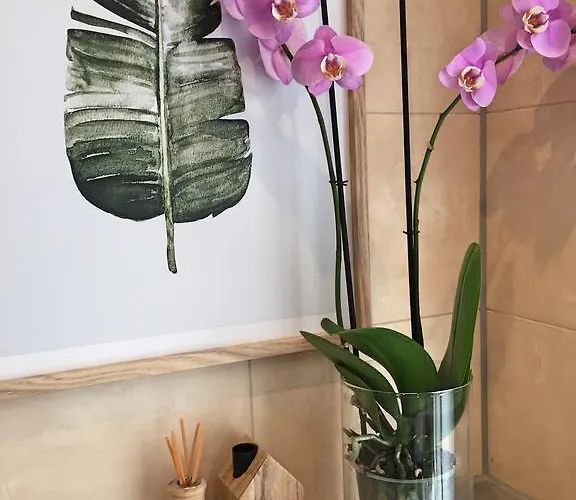 4 Guestrooms Konukevi 4*