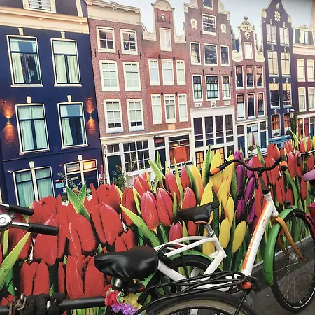 4 Guestrooms Amsterdam