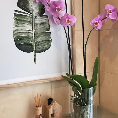 4 Guestrooms Nocleg ze śniadaniem 3*
